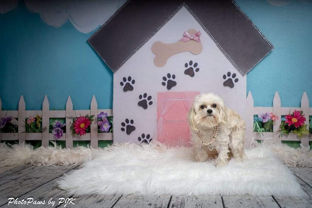 Kate Pet Park Flower Spring Children Backdrop for Photography Designed by Erin Larkins - Kate Backdrop AU