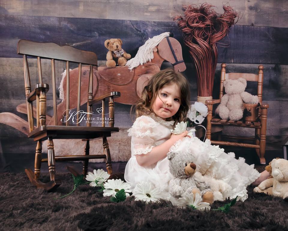 Kate Rocking Horse and Teddy Bear Children Backdrop for Photography Designed by Amanda Moffatt
