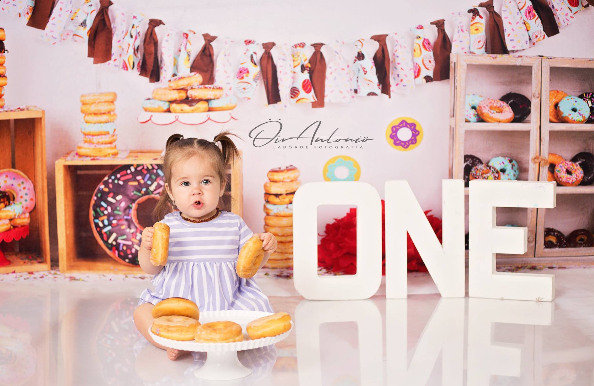 Kate Chocolate Donut Banners Children Backdrop