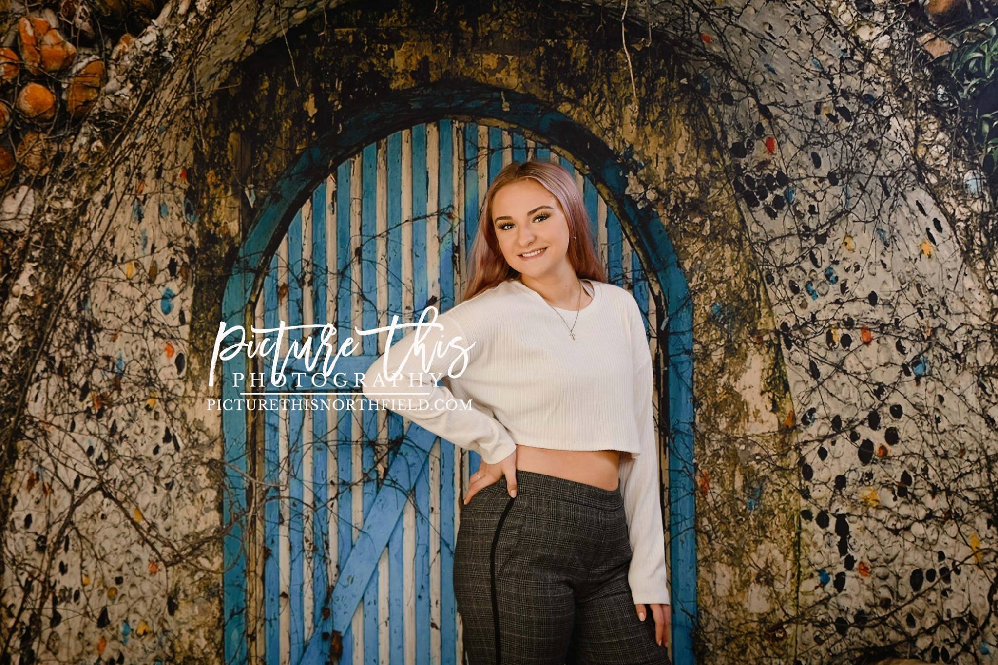 Kate Cool Blue Barn Door Backdrop designed by Jerry_Sina