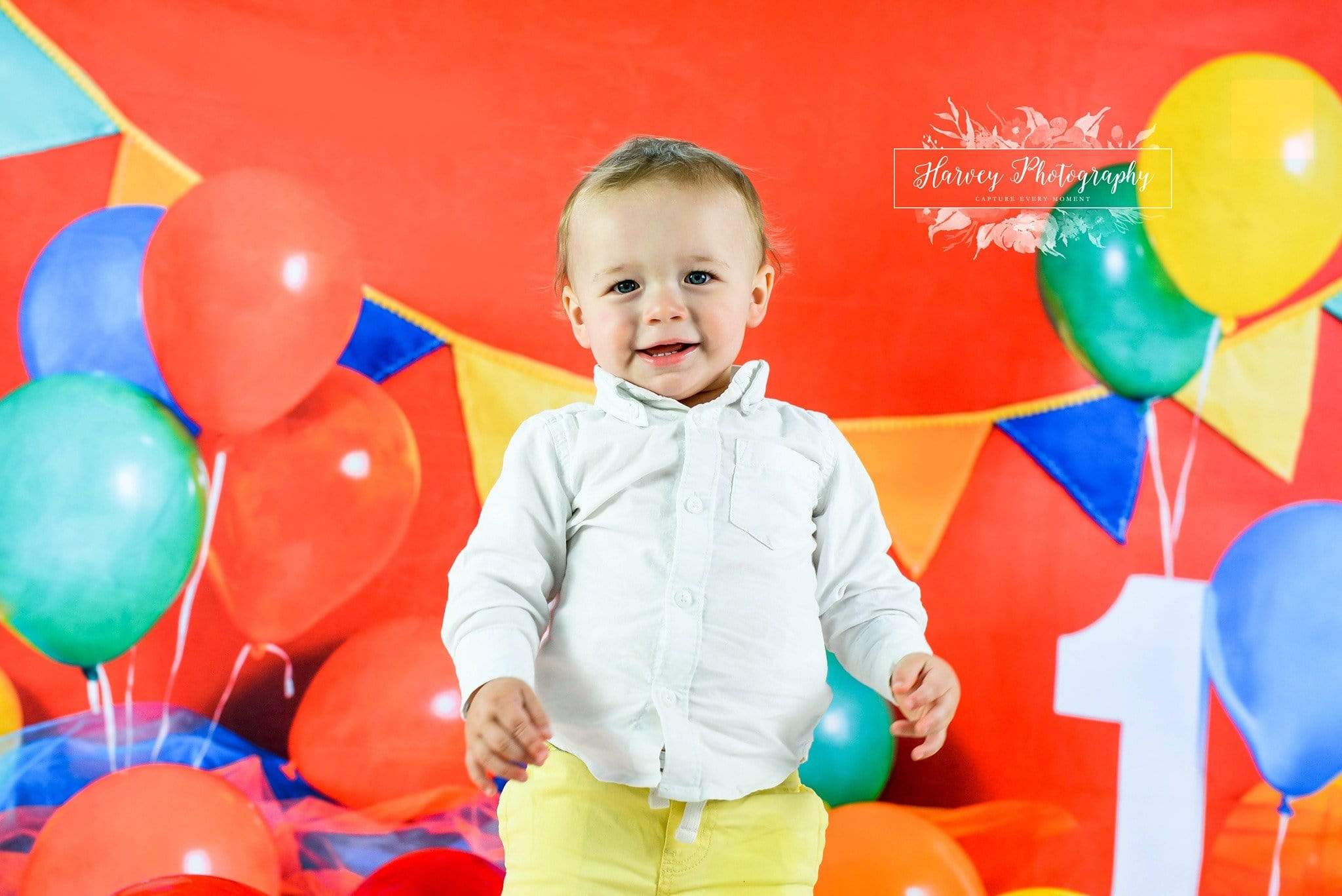 Kate Primary 1st Birthday Backdrop for Photography Designed by Keerstan Jessop - Kate Backdrop AU