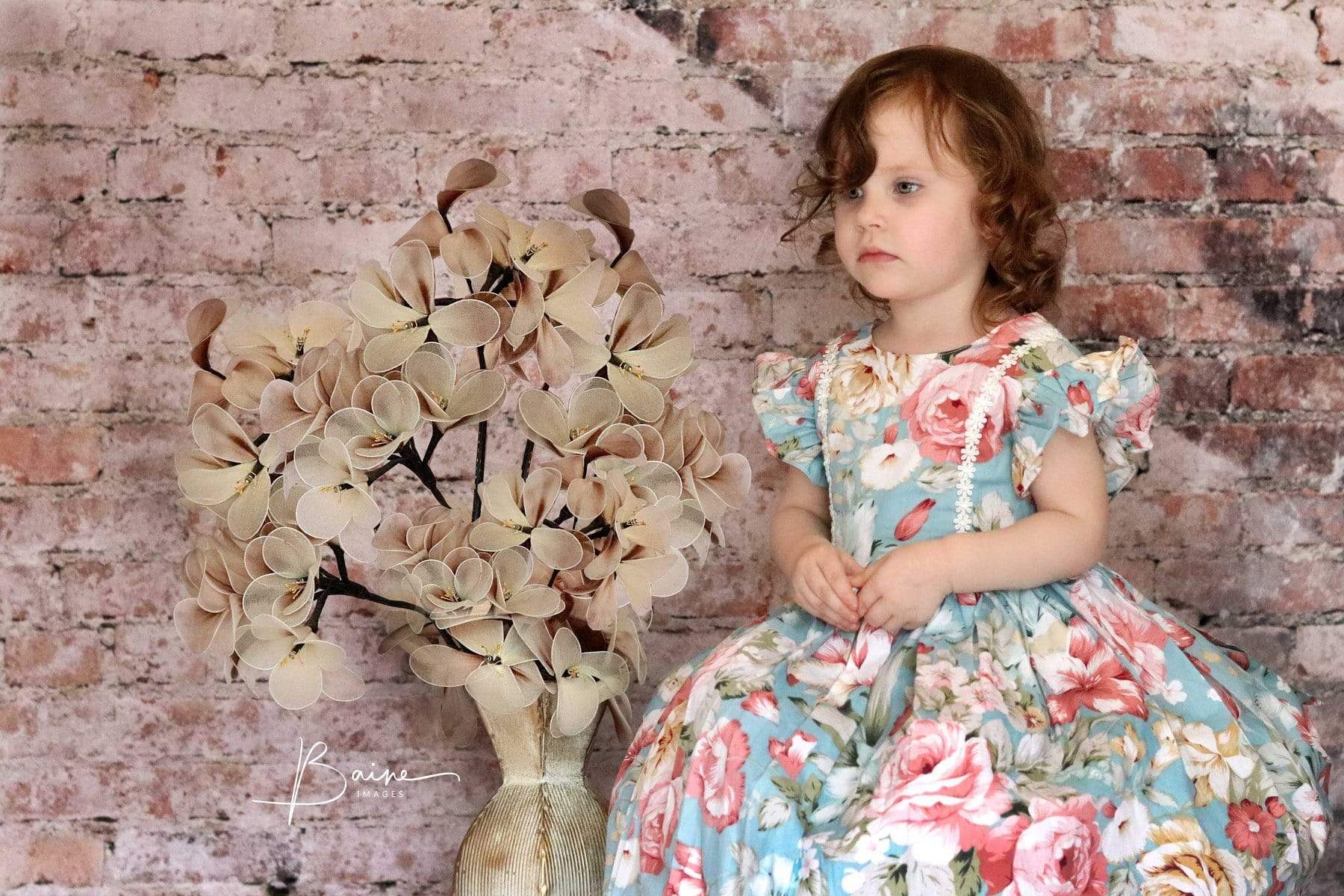 Kate Retro Brickstairs Backdrop for Photography Designed by Erin Larkins - Kate Backdrop AU