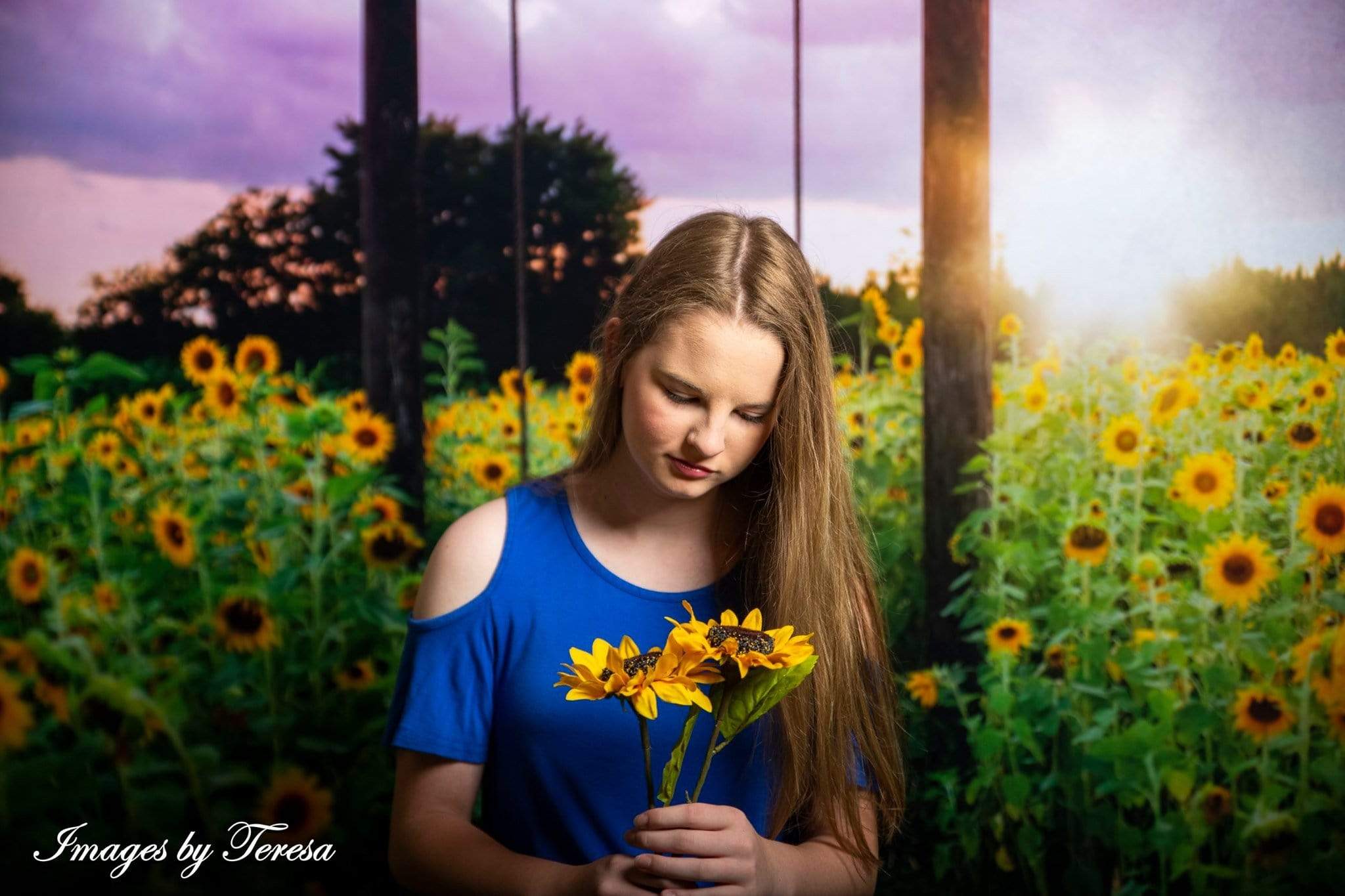 Kate Summer Sunflower Swing Backdrop for Photography Designed By Pine Park Collection