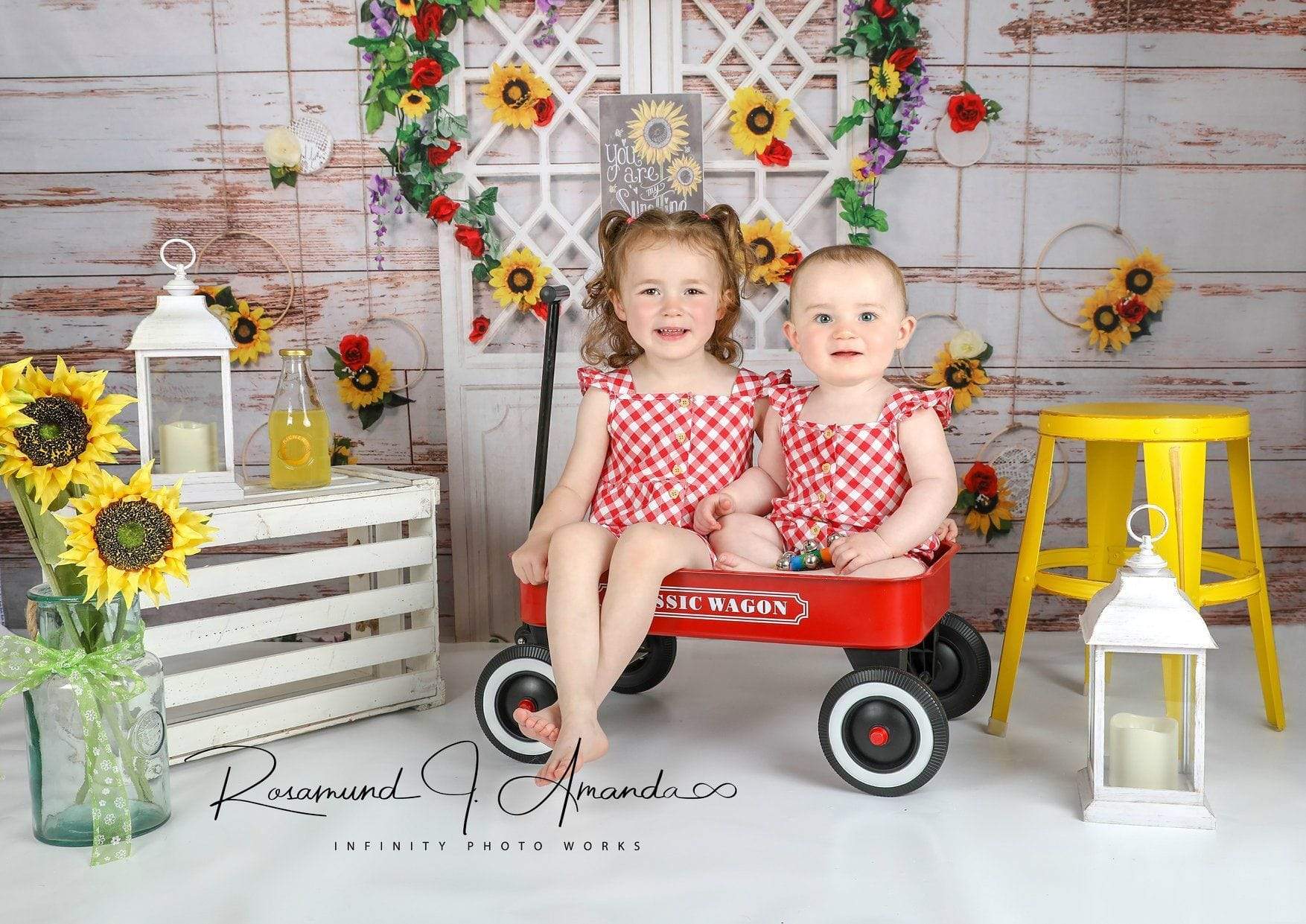Kate You Are My Sunshine Vintage Wall Summer Sunflower Mother's Day Backdrop Designed by Stacilynnphotography - Kate Backdrop AU