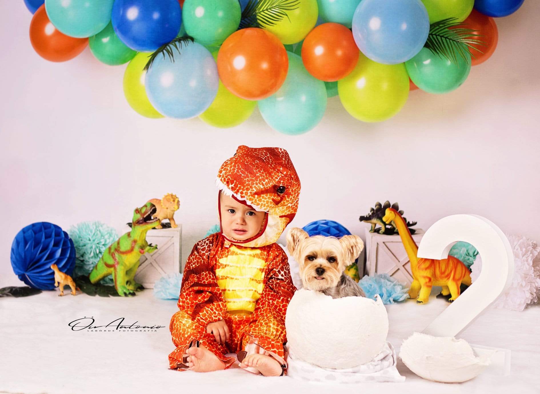 Kate Dinosaur Birthday with Balloons Backdrop for Photography Designed By Mandy Ringe Photography