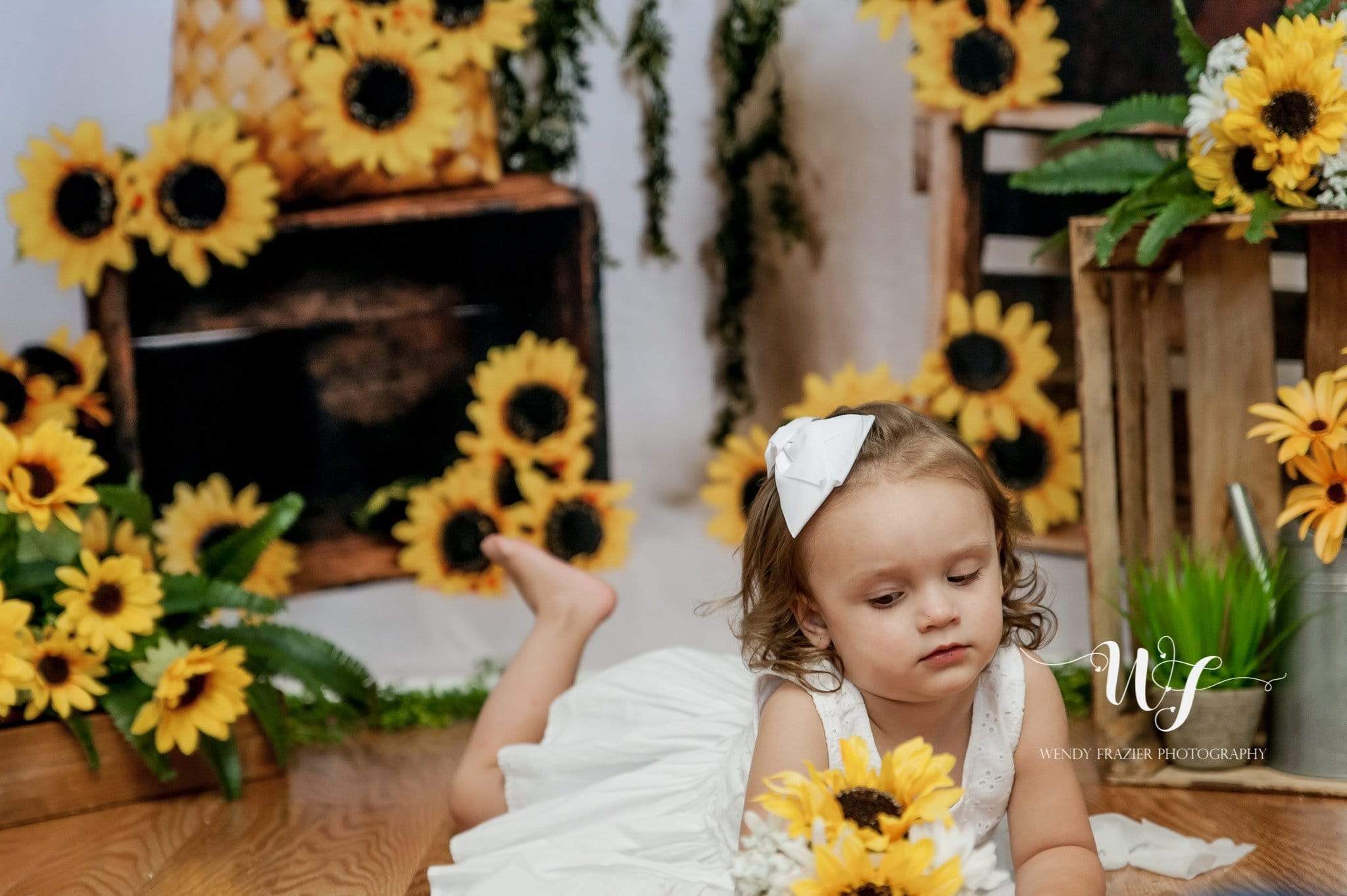 Kate Sunflower Summer Backdrop for Photography Designed by Keerstan Jessop - Kate Backdrop AU