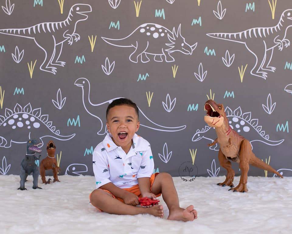 Kate Dinosaur Park Children Backdrop for Photography Designed by Amanda Moffatt