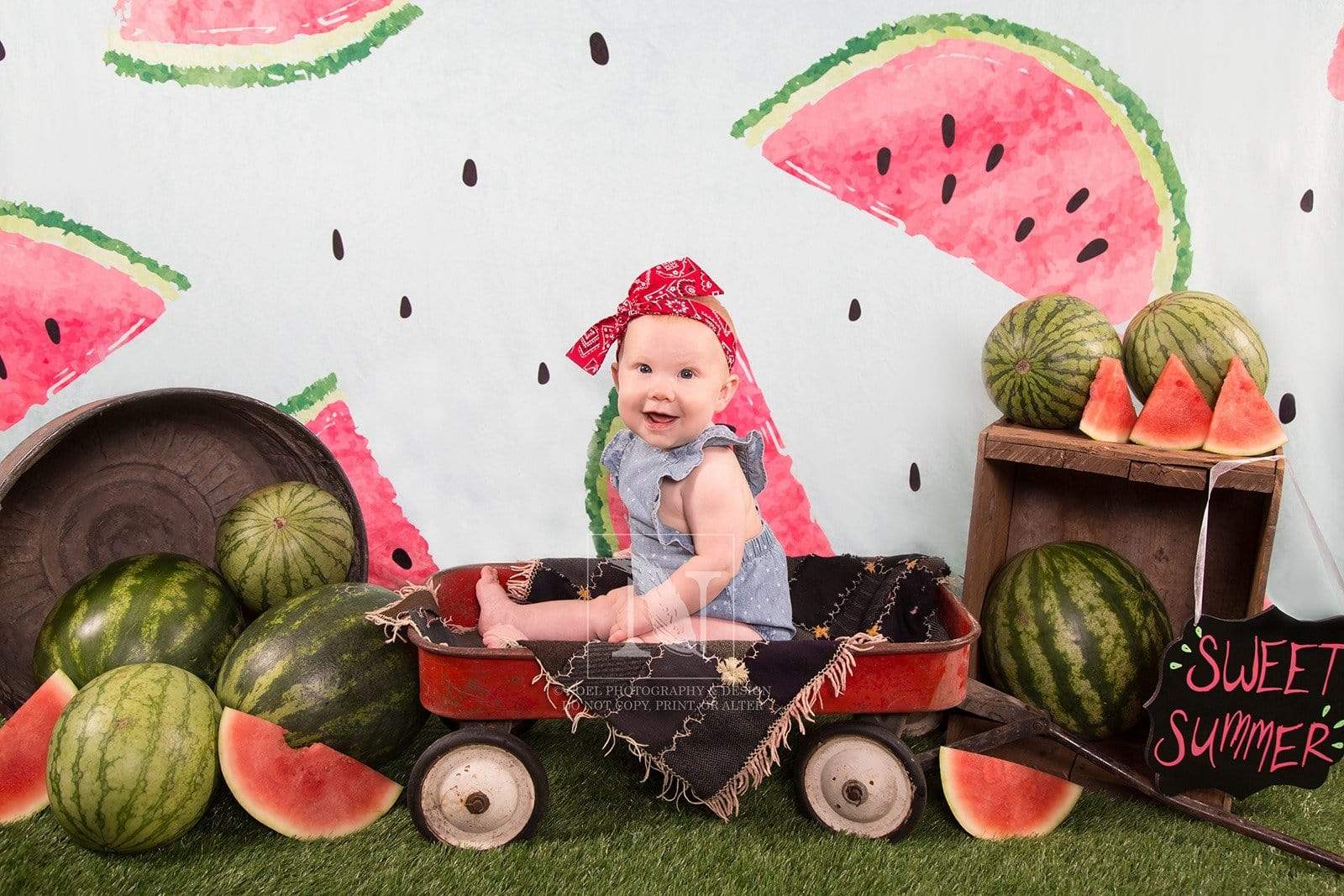 Kate Fresh Background Summer Watermelon Backdrop cake smash/birthday - Kate Backdrop AU