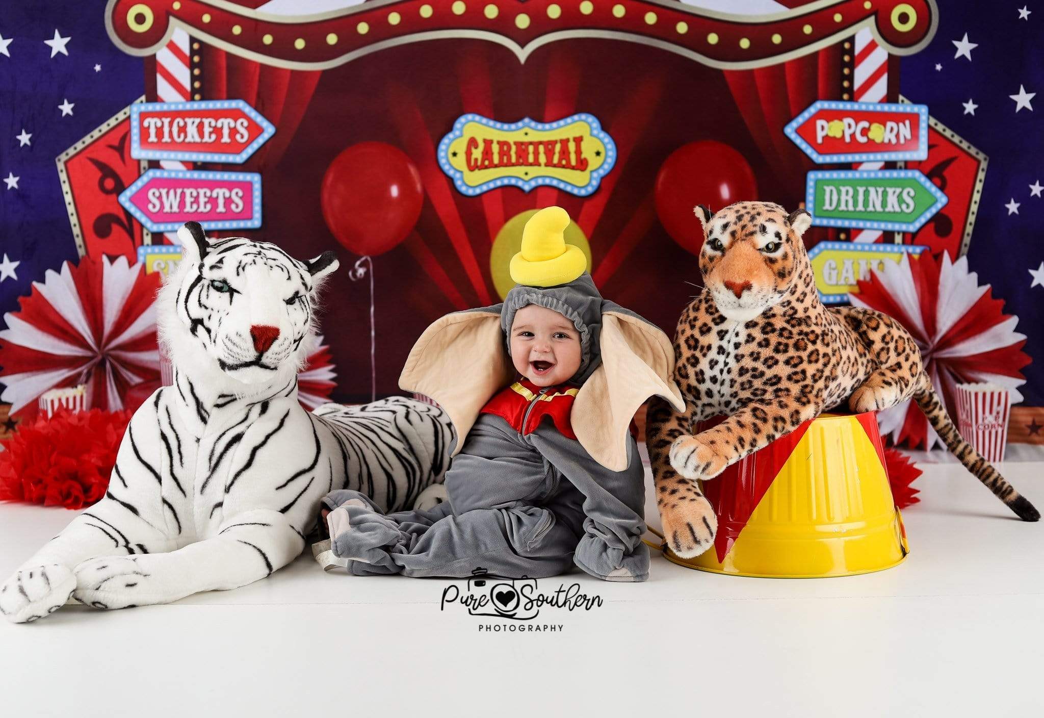 Kate Cake Smash Carnival Backdrop for Photography Designed By Sherie Skelly