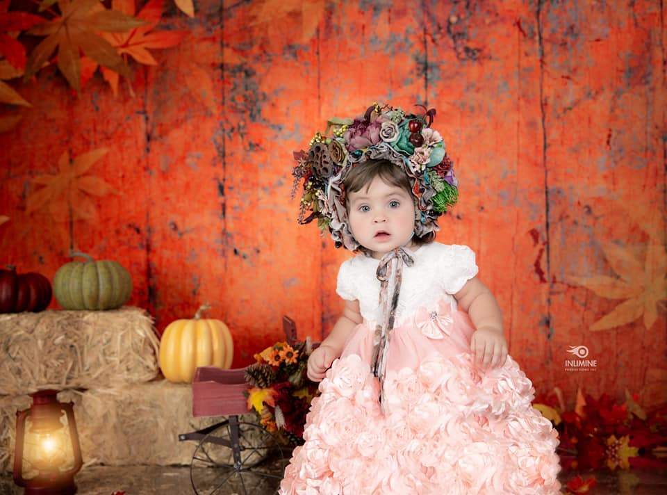 Kate Autumn Maple Leaf Wooden Backdrops for Photography - Kate Backdrop AU