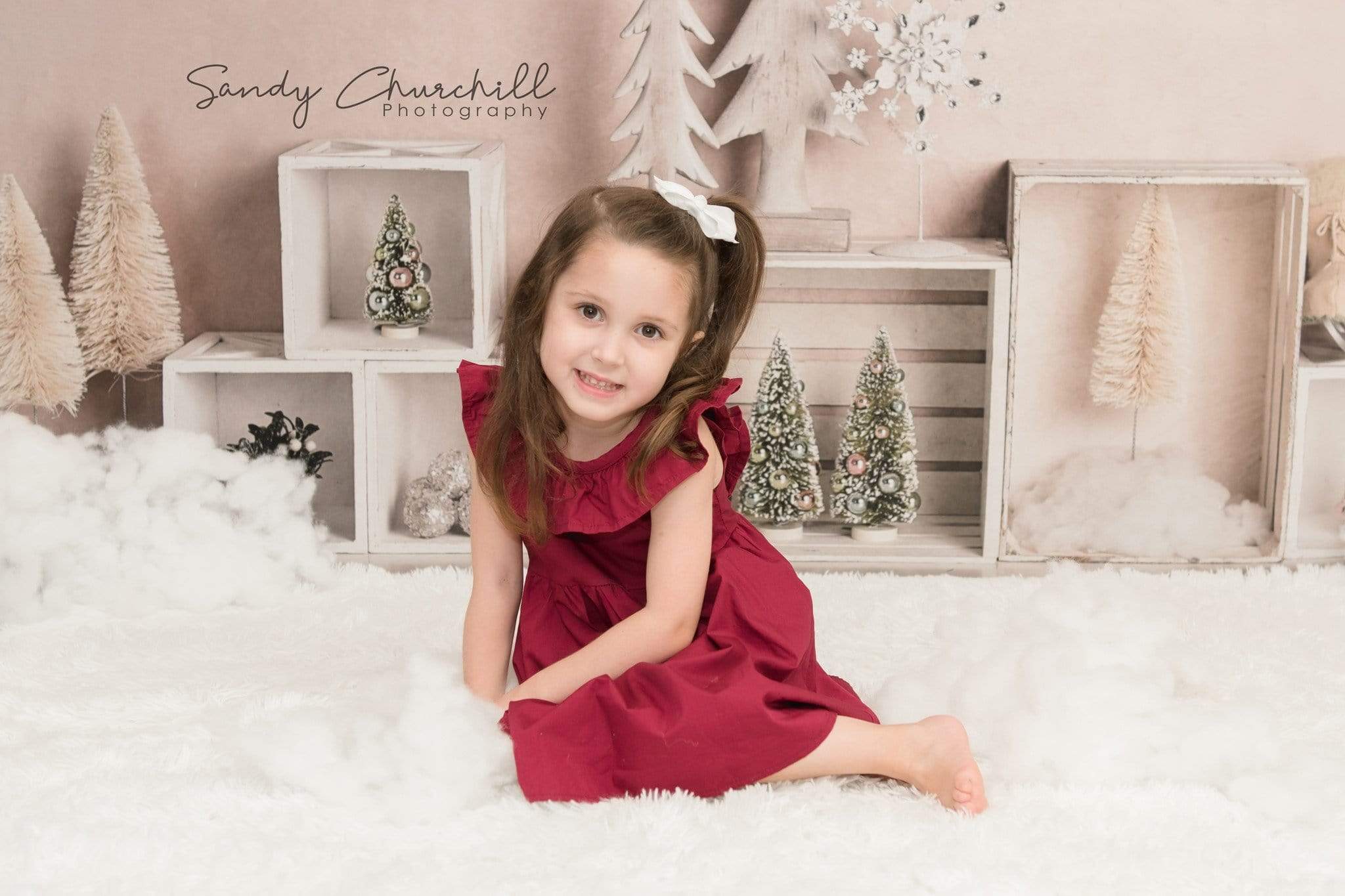 Kate Elegant Christmas Winter Display Backdrop for Photography Designed By Mandy Ringe Photography