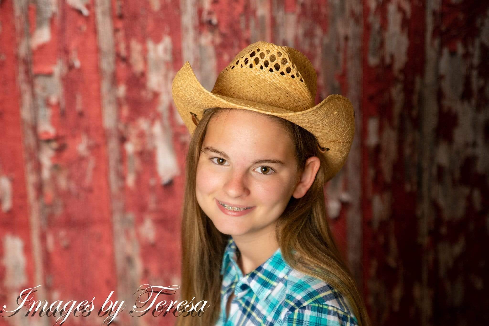 Kate Rustic Red Barn Wood Backdrop for Photography Designed By Mandy Ringe Photography