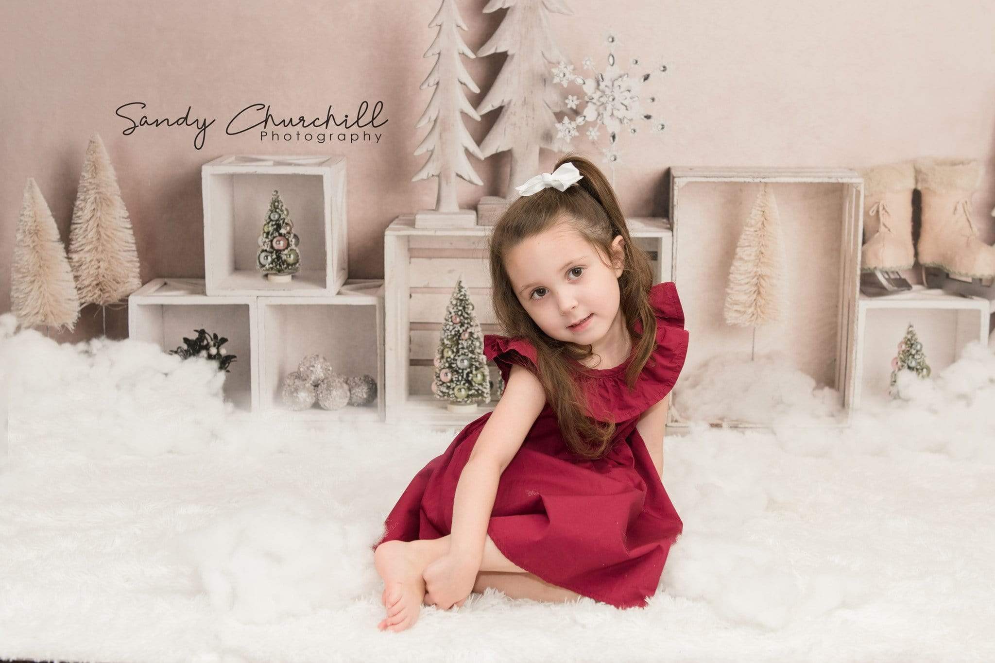 Kate Elegant Christmas Winter Display Backdrop for Photography Designed By Mandy Ringe Photography