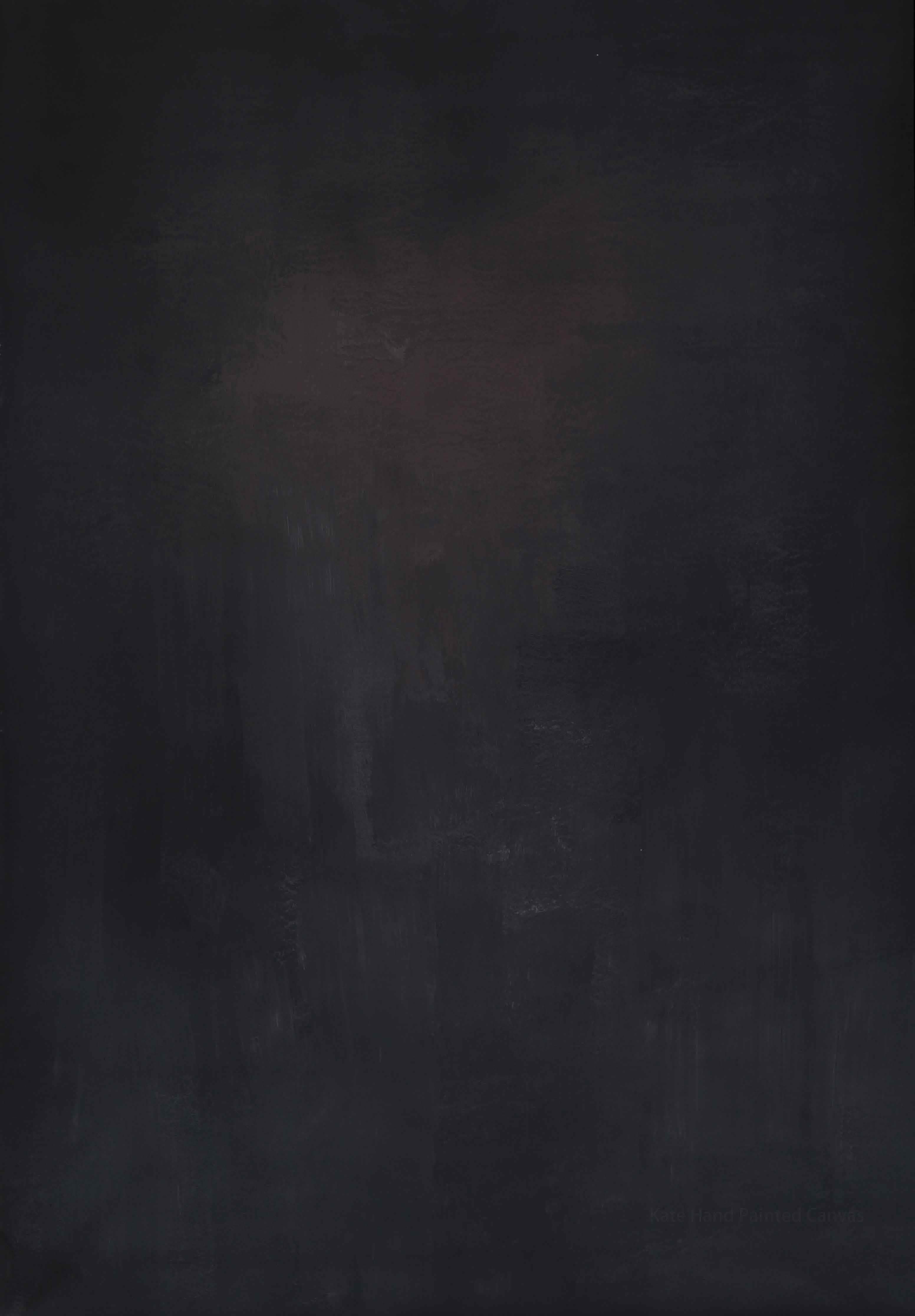 Kate Abstract Texture Black Hand Painted Backdrop