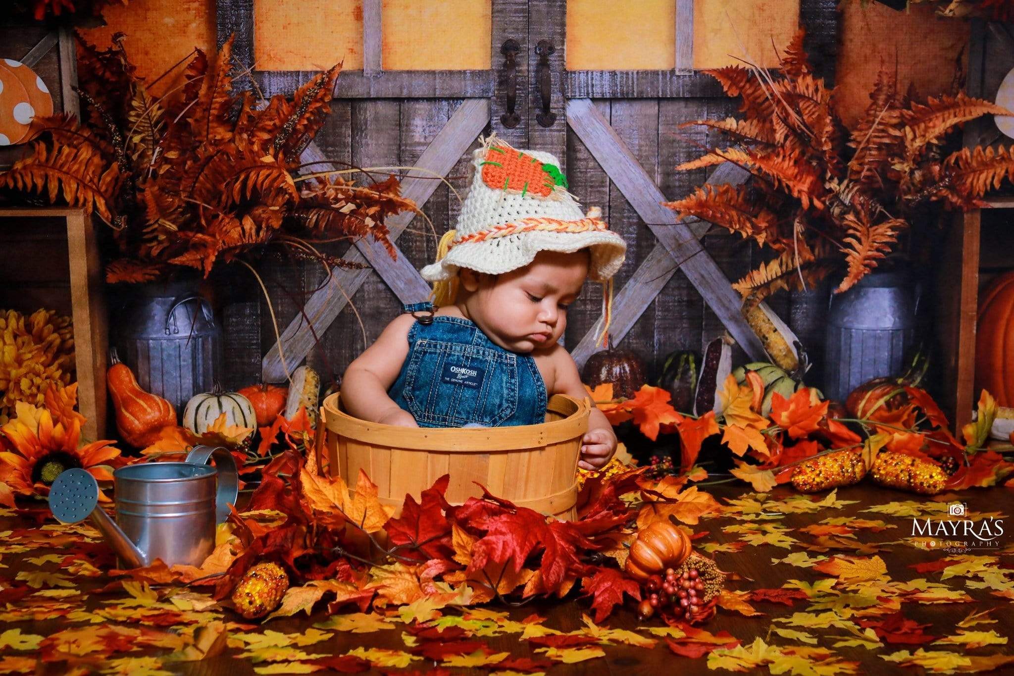 Kate Autumn Harvest Thanksgiving Backdrop - Kate Backdrop AU