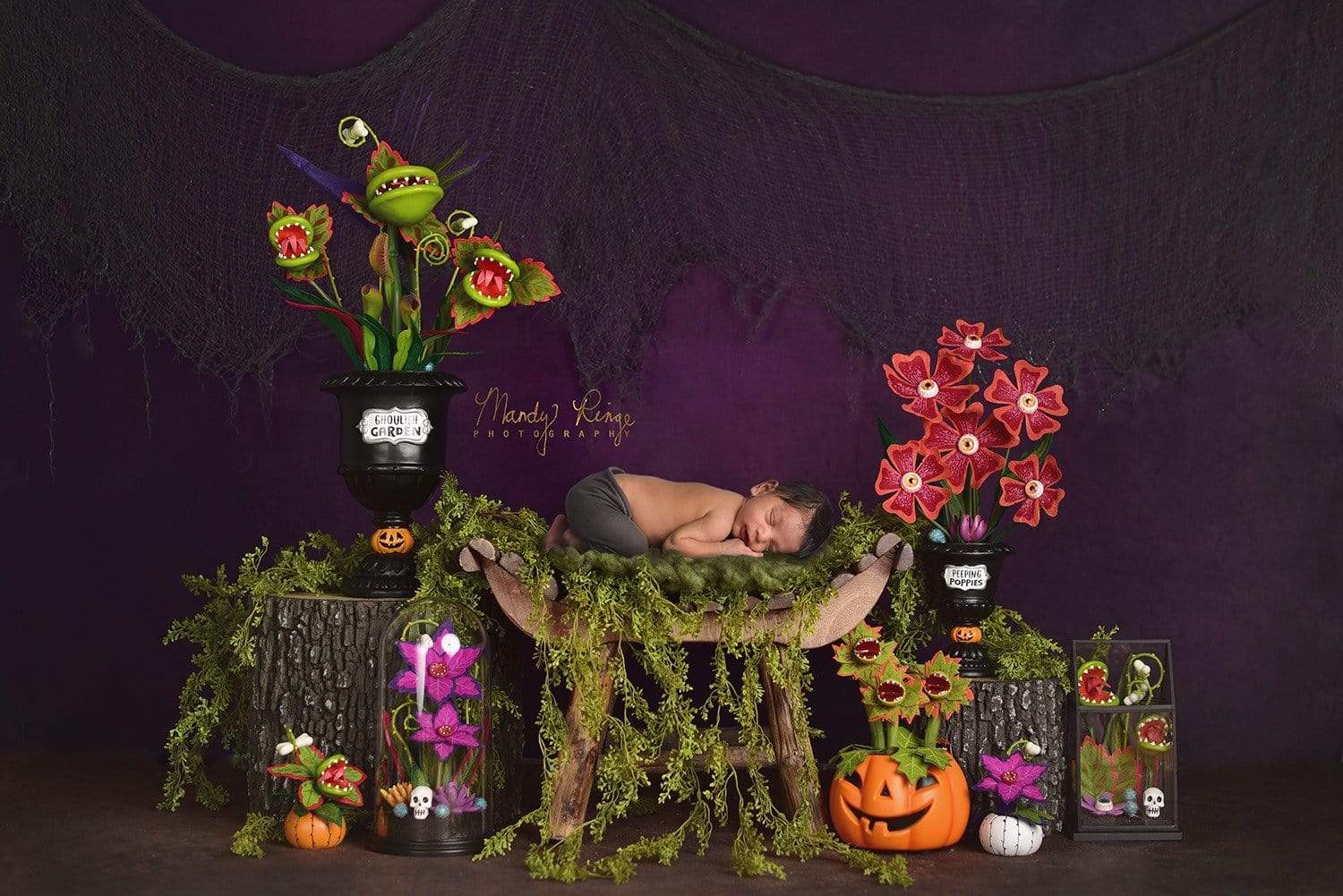 Kate Spooky Garden Halloween Backdrop Designed By Mandy Ringe Photography - Kate Backdrop AU