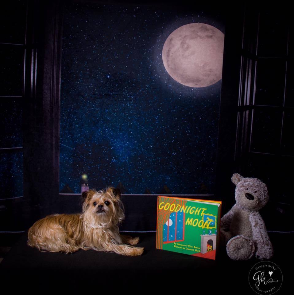 Kate Window Night with Moon and Star View Backdrop Designed By Jerry_Sina - Kate Backdrop AU