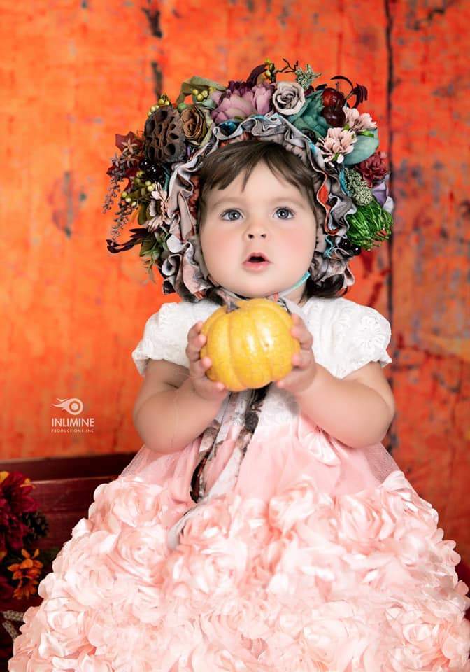 Kate Autumn Maple Leaf Wooden Backdrops for Photography - Kate Backdrop AU