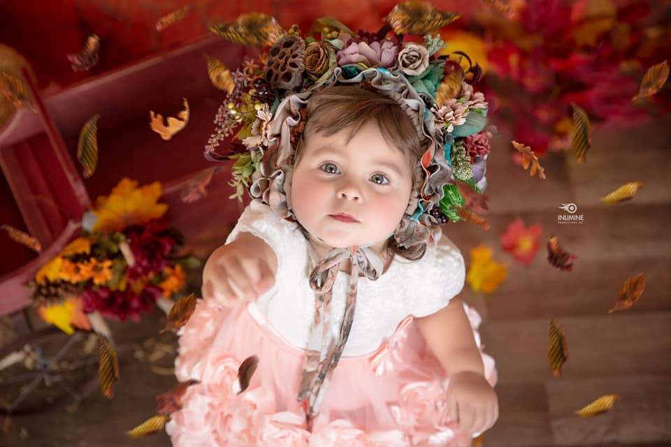 Kate Autumn Maple Leaf Wooden Backdrops for Photography - Kate Backdrop AU
