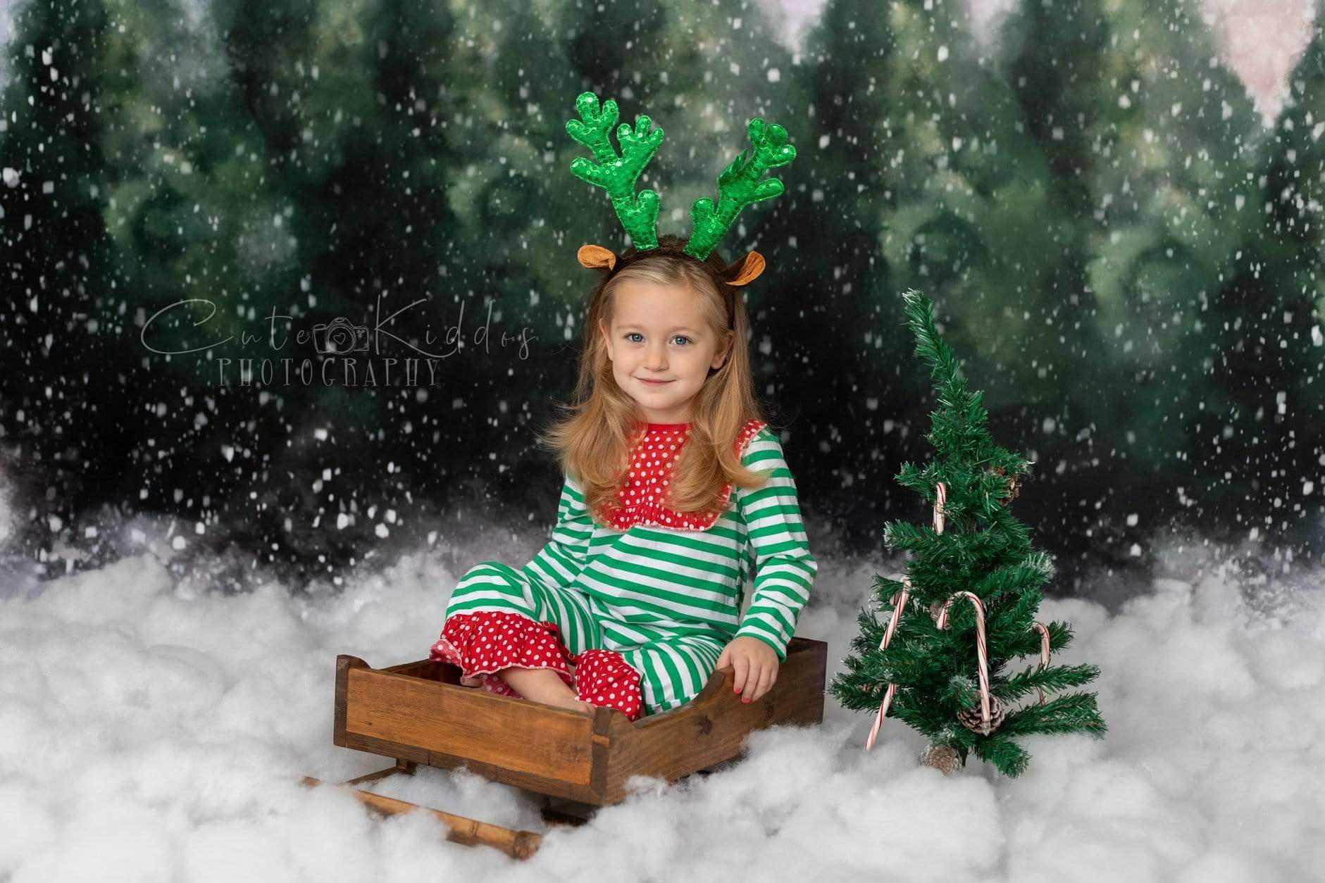Kate Dazzling Winter Snowy Forest Backdrop for Photography Designed by Modest Brushes - Kate Backdrop AU