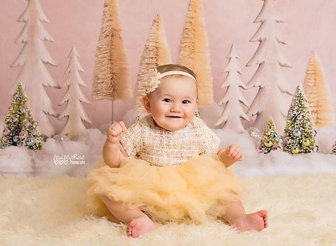 Kate Elegant Christmas Trees with Glitter Backdrop for Photography Designed By Mandy Ringe Photography - Kate Backdrop AU