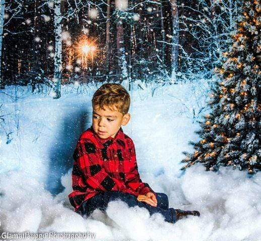 Kate Winter Forest with Snow And Christmas Tree for Photography - Kate Backdrop AU