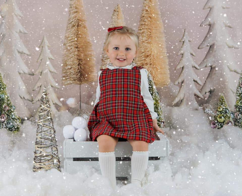 Kate Elegant Christmas Trees Backdrop for Photography Designed By Mandy Ringe Photography