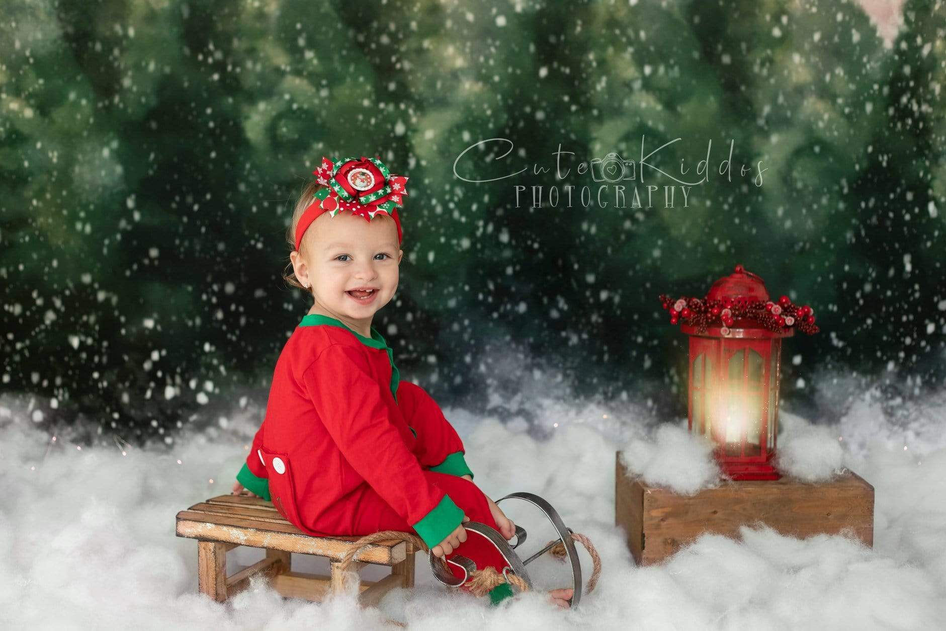 Kate Dazzling Winter Snowy Forest Backdrop for Photography Designed by Modest Brushes - Kate Backdrop AU