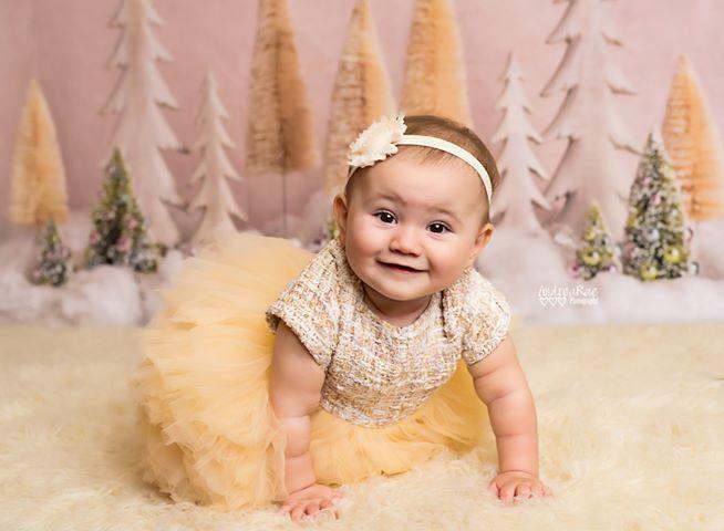 Kate Elegant Christmas Trees with Glitter Backdrop for Photography Designed By Mandy Ringe Photography - Kate Backdrop AU