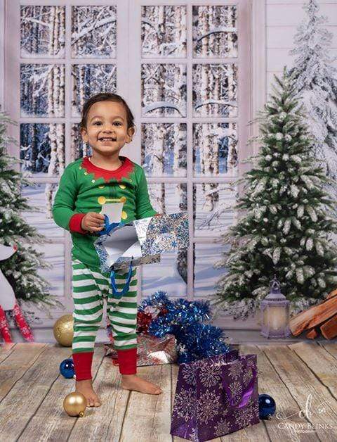 Kate Christmas Trees Window Snow View Backdrop Designed By Jerry_Sina - Kate Backdrop AU