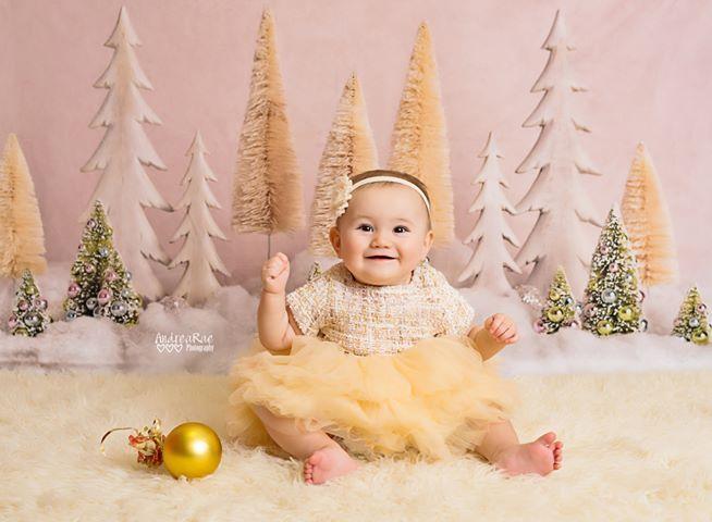 Kate Elegant Christmas Trees with Glitter Backdrop for Photography Designed By Mandy Ringe Photography - Kate Backdrop AU