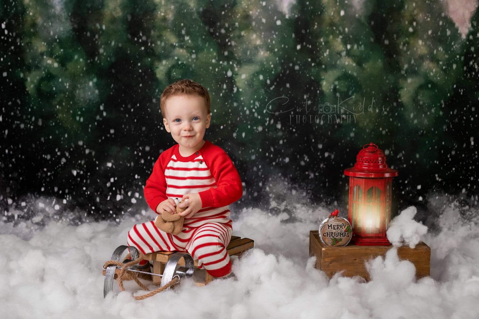 Kate Dazzling Winter Snowy Forest Backdrop for Photography Designed by Modest Brushes - Kate Backdrop AU