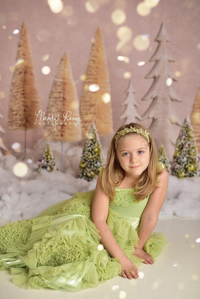Kate Elegant Christmas Trees with Glitter Backdrop for Photography Designed By Mandy Ringe Photography - Kate Backdrop AU