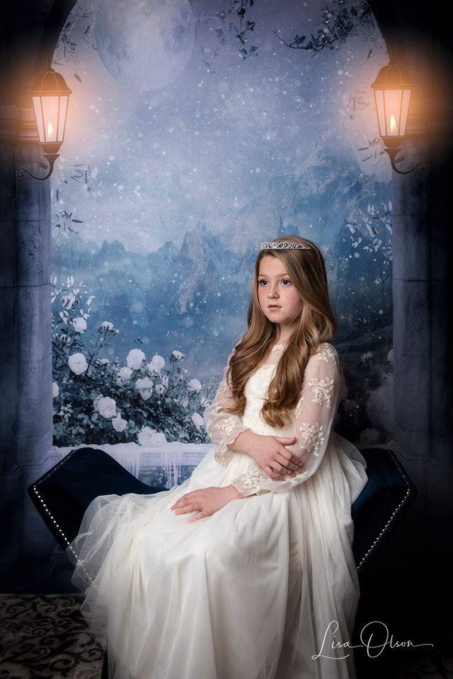 Kate Winter Mountain And Moon Arched Door with Snow Backdrop Designed by JFCC - Kate Backdrop AU