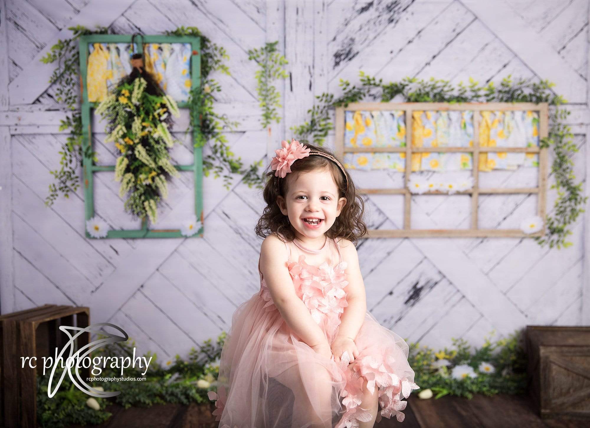 Kate Retro Wood Lemon color and Daisies  Spring Backdrop - Kate Backdrop AU