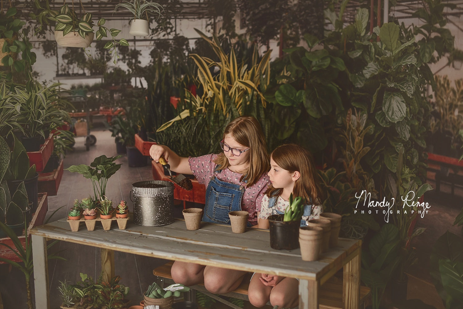 Kate Greenhouse Interior Backdrop Designed by Mandy Ringe Photography - Kate Backdrop AU