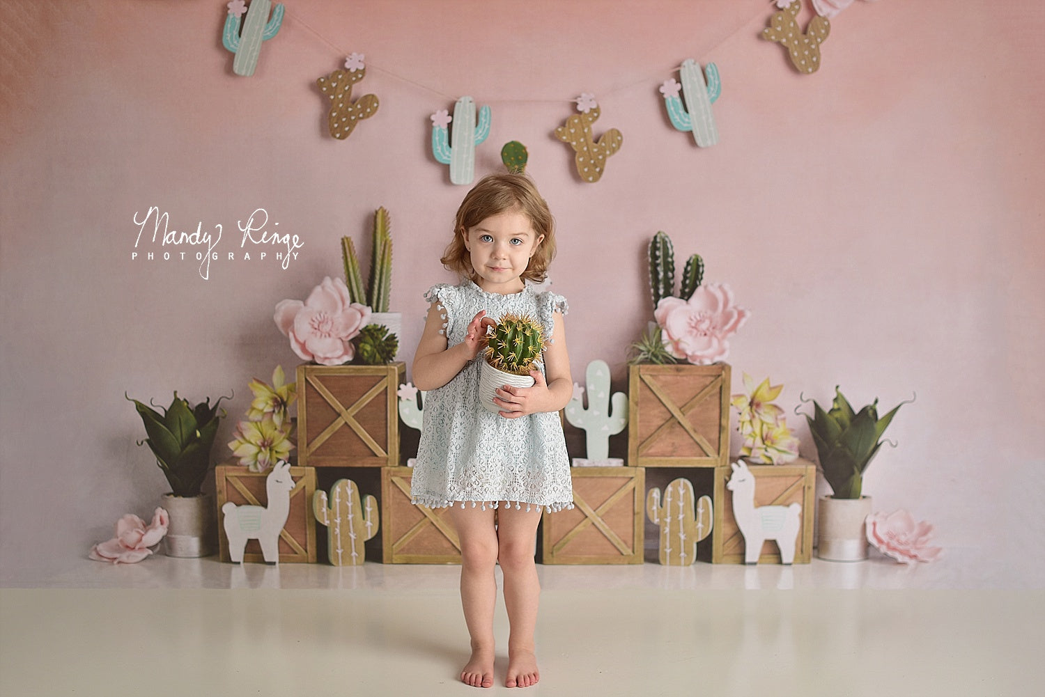 Kate Pastel Llamas with Cactus Pink Summer Backdrop for Children Designed By Mandy Ringe Photography