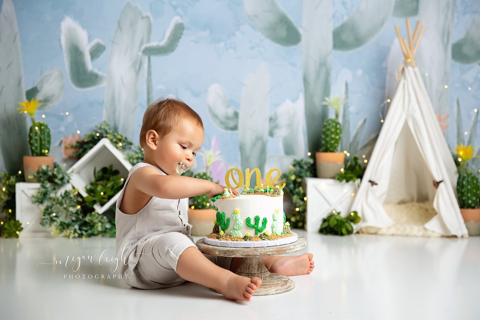 Kate Cactus Spring Children Birthday Backdrop Designed by Megan Leigh Photography - Kate Backdrop AU