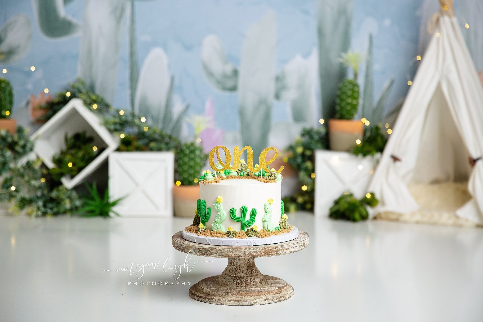 Kate Cactus Spring Children Birthday Backdrop Designed by Megan Leigh Photography