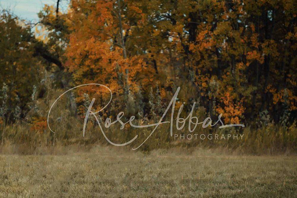 Kate Fall's Foliage  Backdrop for Children and Family Photography Designed By Rose Abbas