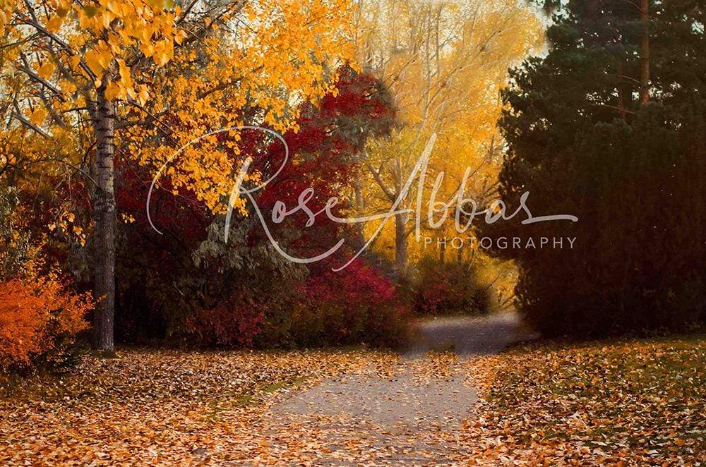 Kate Autumn's Walk Backdrop for Fall Designed By Rose Abbas