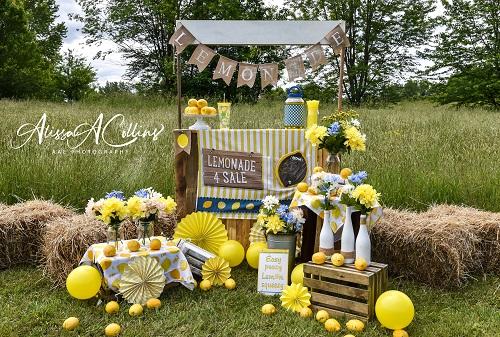 Kate Summer Backdrop Lemonade Stand Designed by AAE Photography