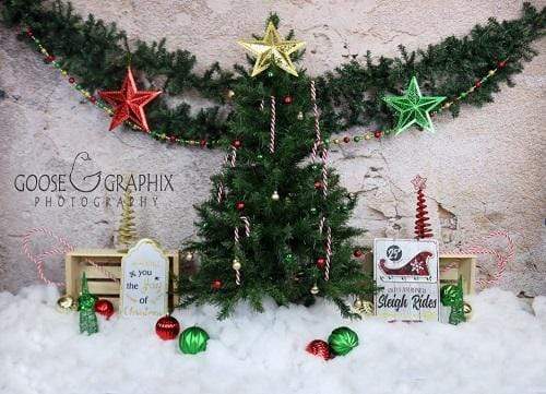 Kate Christmas Snowy Pine Trees Star Decoration Backdrop for Photography Designed By Amanda Moffatt