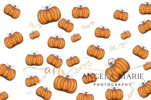 Kate Fall/Thanksgiving Pumpkins Backdrop Designed By Angela Marie Photography