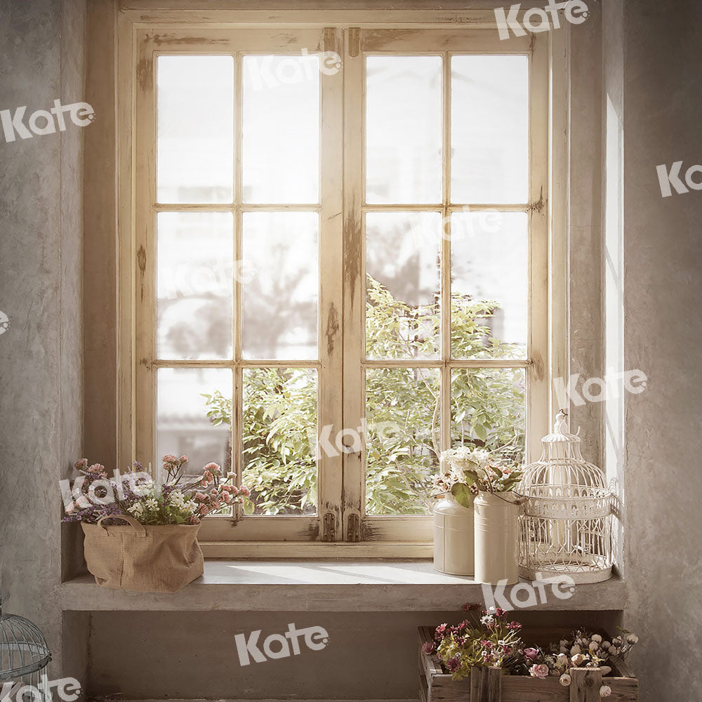 Kate Indoor Window Sunlight Backdrop Plant Designed by Emetselch - Kate Backdrop AU