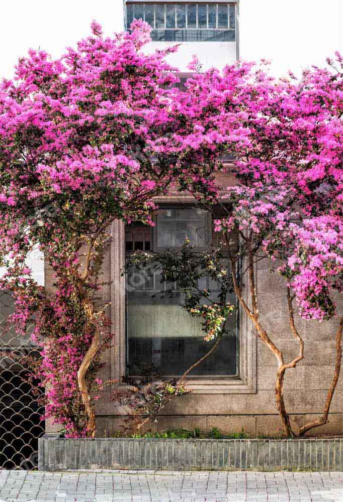 Kate Spring Outdoor Backdrop Purple Flowers Window Designed by Chain Photography