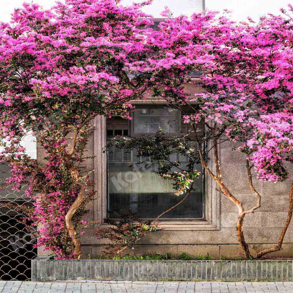 Kate Spring Outdoor Backdrop Purple Flowers Window Designed by Chain Photography - Kate Backdrop AU