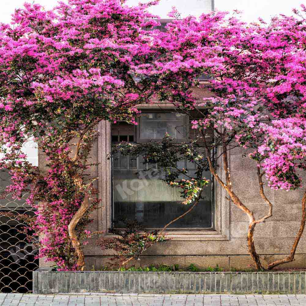 Kate Spring Outdoor Backdrop Purple Flowers Window Designed by Chain Photography