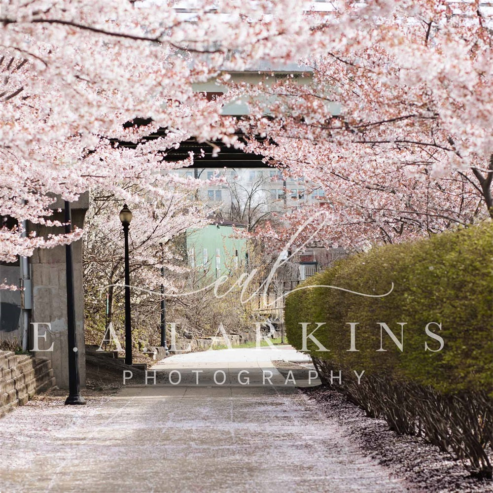 Kate Cherry Blossom Archway Backdrop for Photography Designed by Erin Larkins - Kate Backdrop AU