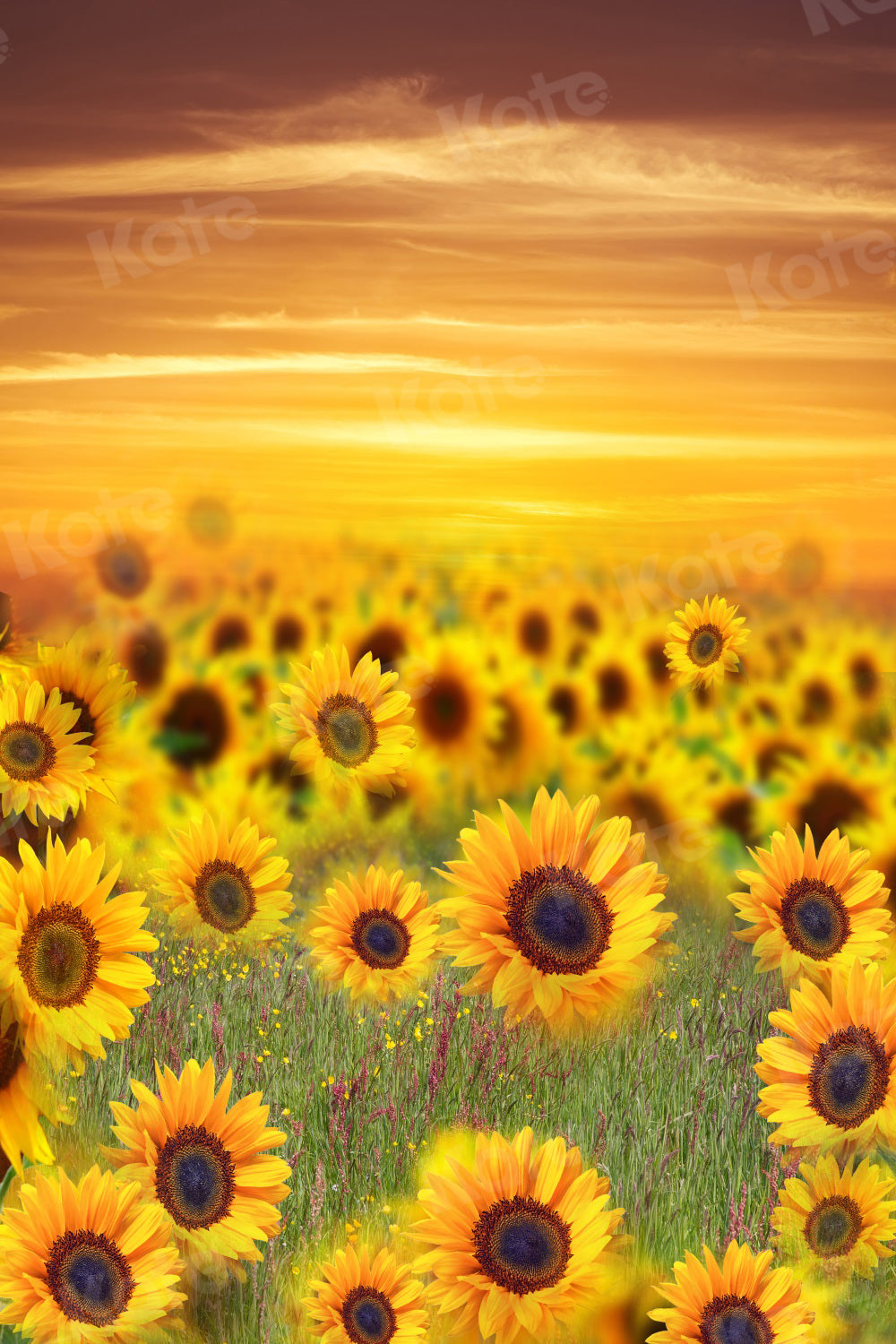 Kate Summer Backdrop Sunflower Sunset for Photography